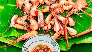 Ngọt ngây với món TÔM CÀNG XANH luộc nước dừa CHẤM SIÊU CAY/Amtqn tv