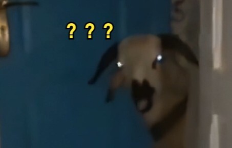 "Where Are Those Weird Animals?" 147