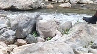 cast netting in Nepal | himalayan trout fishing with handmade cast net |