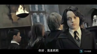 be美学的电影：哈利波特中罗琳阿姨藏得最深的刀就是斯教，斯教是最刮我心的角色