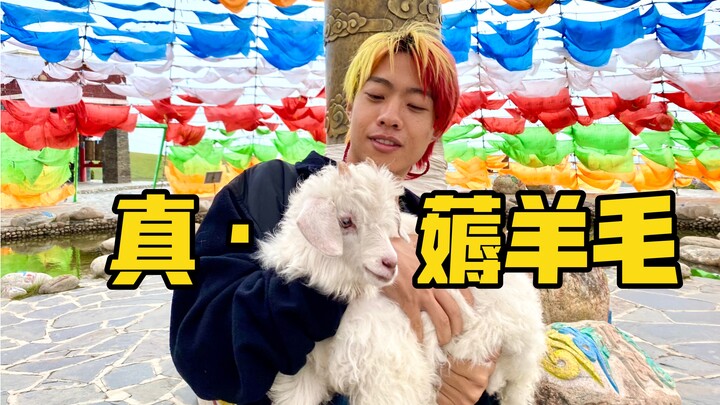 مضيفة الطيران رفضت أن ترقص معي في مدينة P