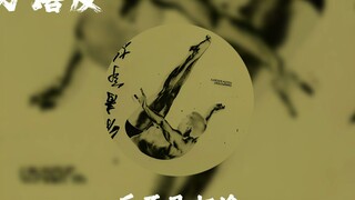 万青《十万嬉皮》【Hi-Res 24bit/192kHz】