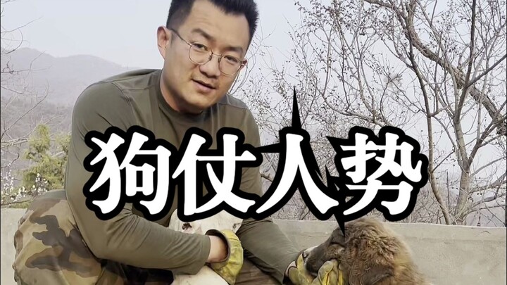 As the saying goes, “A dog relies on its master’s power; if you beat the dog, you’re really looking 