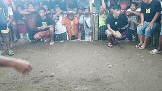 laban lang 7 months