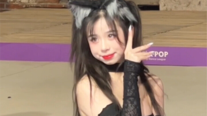 aoa แมวก้าวอย่างเงียบ ๆ