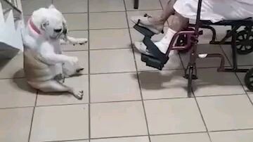 funny video
