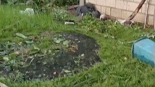 Typhoon odette 2021 Aftermath