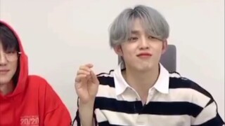 Tôi, Choi Seungcheol, là một con lợn lợn lợn lợn lợn
