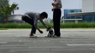 Pilih mana