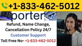 Full™ {List} Of Porter Airlines™️® Customer™ Service® Contact Numbers : A Step by-step Guide