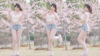 Bunga sakura berguguran dengan kecepatan lima sentimeter per detik.