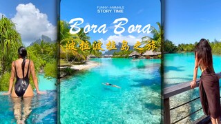 “上帝之作”-波拉波拉岛之旅