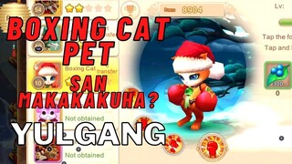 YULGANG GLOBAL: BOXING CAT PET SAN MAKAKAKUHA?