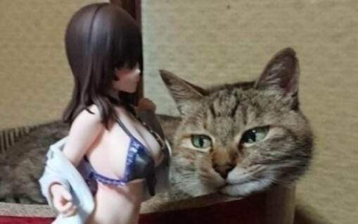 The seller took the initiative to expose himself! These are the people who buy sexy lingerie every d