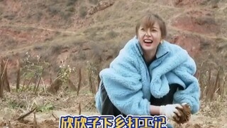虞书欣以为是来旅游的，结果被导演骗到乡下挖百合