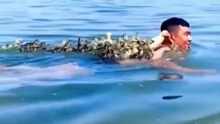Real! Turbo Duck!!!