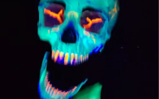Fluorescent Skull Loves to Dance