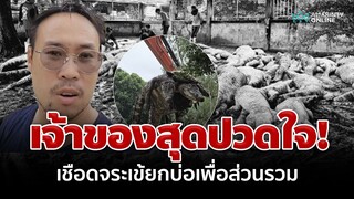 ฟาร์มจระเข้ จำใจเชือดพ่อแม่พันธุ์ที่เลี้ยงมา 17 ปี หลังฝนหนักบ่อทรุดหวั่นหลุดลงน้ำ | อมรินทร์อัปเดต