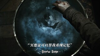 数年后，"叛徒"终于在冥想盆中得以昭雪。