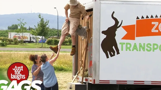 ▶ แก๊กใหม่ แค่หัวเราะเล่นๆ การรวบรวมที่ดีที่สุดของฤดูร้อน 2019