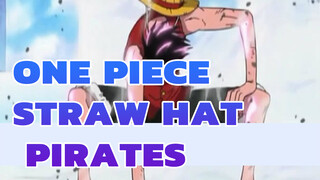 ONE PIECE|CP9 VS Straw Hat Pirates--Awakening of partners