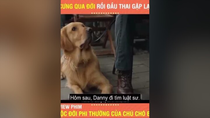 Phần cuối reviewphim#xuhuong#funny#foryou#fyp