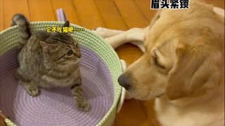 In memory of our encounter, the story is long, and so is the future.