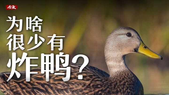 Why is fried chicken common but fried duck uncommon? [Food Records]