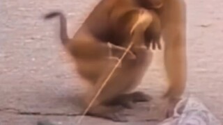 Bro, I'm really in deep trouble now!