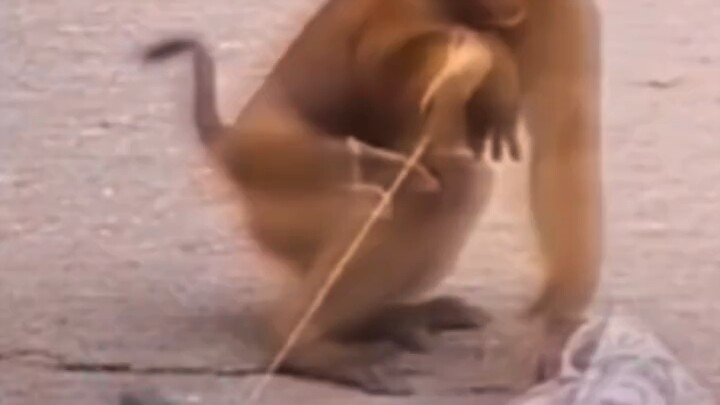 Bro, I'm really in deep trouble now!