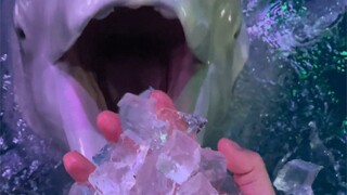 The weather is getting hotter and hotter—time for some ice cubes to quench my thirst 😊. But I totall