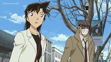 Detective Conan Episode 1161 Sub Indo