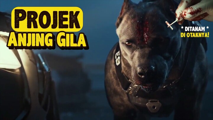 TERJEBAK DENGAN ANJING PEMBUNUH DI JEMBATAN RUNTUH | Cerita Alur Film Project Silence