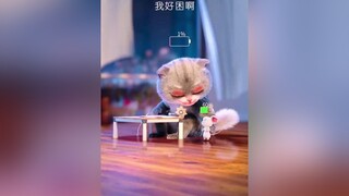 mèo mèoyamaha TikTokFashUP TinhLangChallenge AnhNhinThuHut