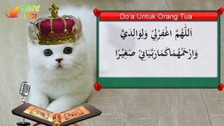 Kumpulan Do'a Untuk Pembelajaran Anak Muslim | Kucing Mengaji