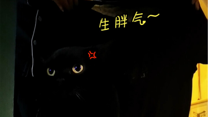 Q: If you toss Suísuì into a pile of coal, how do you tell which one is Suísuì and which one is coal