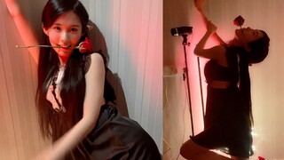 蛋宝手持红玫瑰光晕慢舞，什么？表白淑怡很丢人吗？