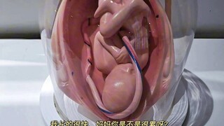 Monthly changes of the fetus in the uterus, a tribute to every great mother