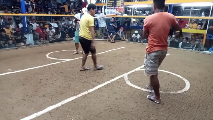 Lose.. Grey x High Action