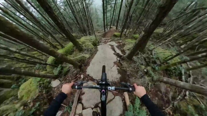 “หลังจากพึ่งพากันแล้วกลับต้องสูญเสีย ช่างเหมือนก้างปลาติดอยู่ในลำคอ”