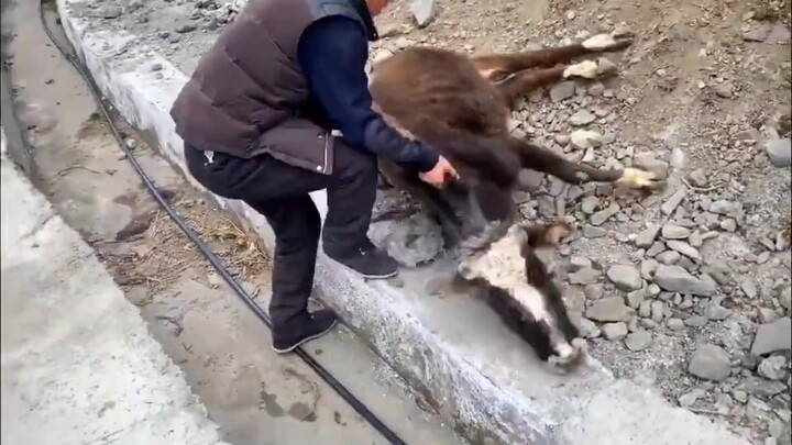 บางครั้งแค่แรงสนับสนุนเพียงเล็กน้อยก็สามารถช่วยชีวิตคนได้