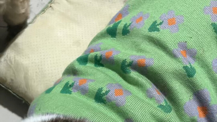 Baru aja pulang sebentar, rasanya langit runtuh dan semua harus dicuci.