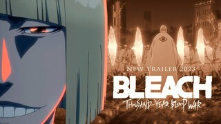 AKHIRNYA!! BANKAI SHINJI HIRAKO DIREVEAL DI ANIME!! | Breakdown Trailer Anime Bleach TYBW 2023
