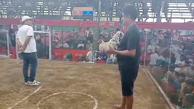 parekoy