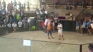 1st fyt  win