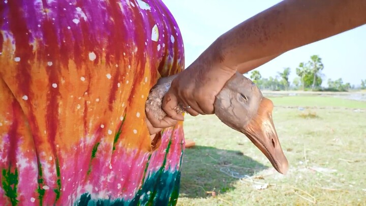 Tui Tui Comedy Video😂Tui tui Best Funny Video