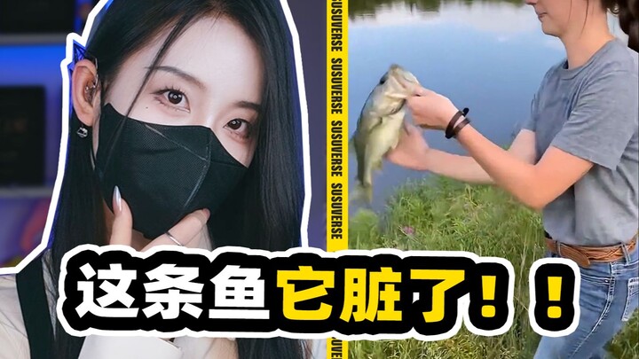 猫娘盲盒 口水打窝 不想看懂【不要秒懂挑战#3】