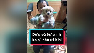 Dứa và Bư hihi. cunyeucuadua chó chócon chókhôn chócute chó_cưng chócon chókhôn chómèo xuhuong fyp