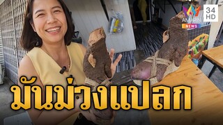 ฮือฮา! มันม่วงแปลก จริตมิสแกรนด์โตในรองเท้าส้นสูง | ข่าวอรุณอมรินทร์ | 9/12/67