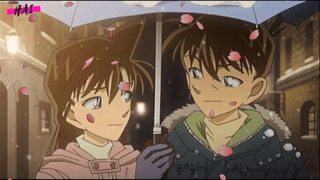 Những cặp đôi được yêu thích nhất trong conan - shinichi x ran - haibara x conan